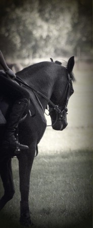 hors  