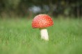 /album/fotogallerij/dsc02260-jpg/