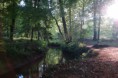 /album/fotogallerij/dsc-0036-jpg/